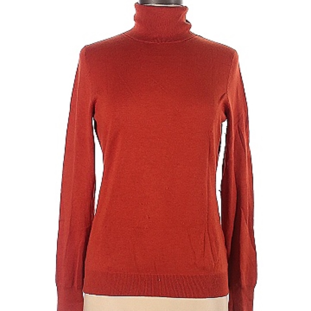 Banana Republic Orange Turtleneck